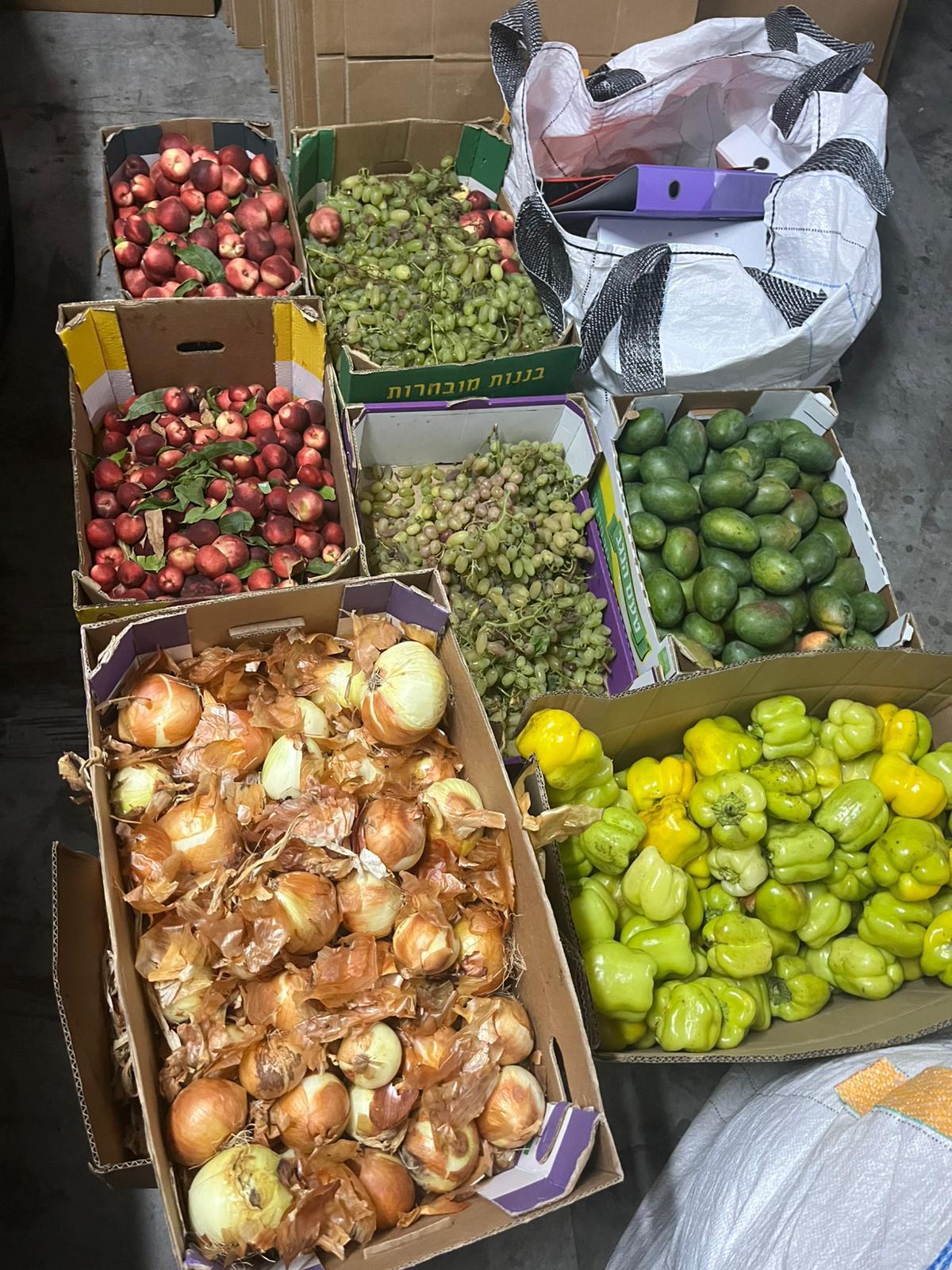 קרטוני בצל, פלפלים ופירות שהוכנו עבור המשפחות.